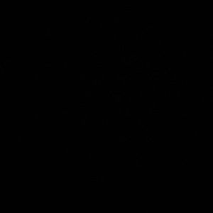 Meet your Posher, Elena